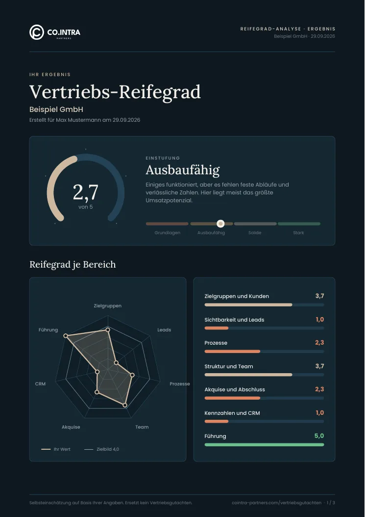 Beispiel der PDF-Auswertung